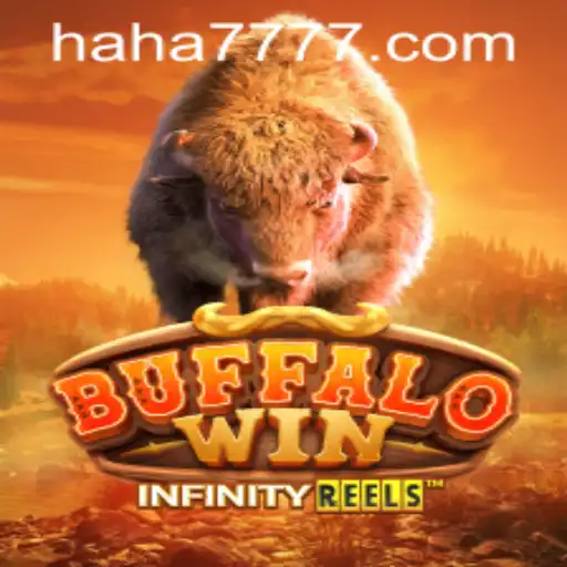 BuffaloWin: The Thrill of the Slot Machine Adventure at HAHA777.COM